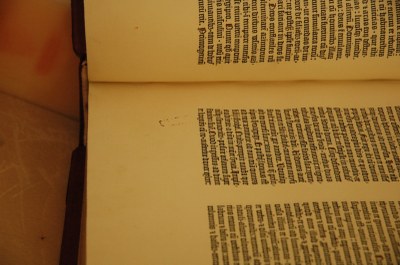 jk15210.jpg
