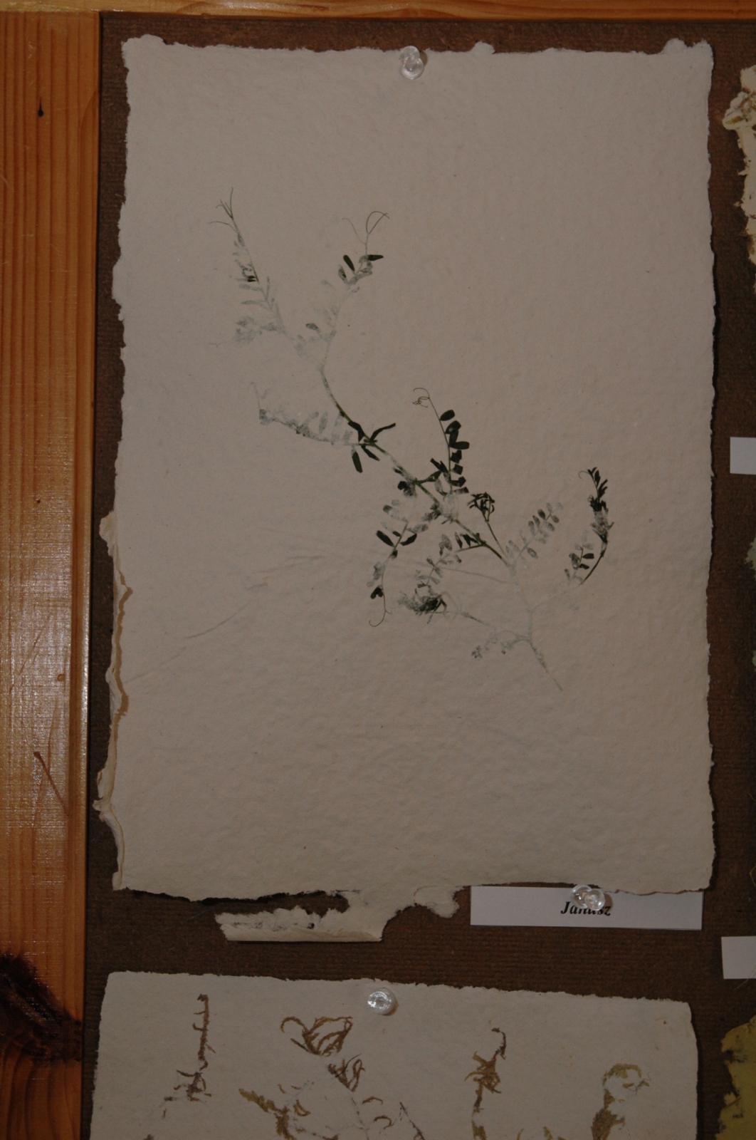 jk15294.jpg