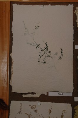 jk15294.jpg