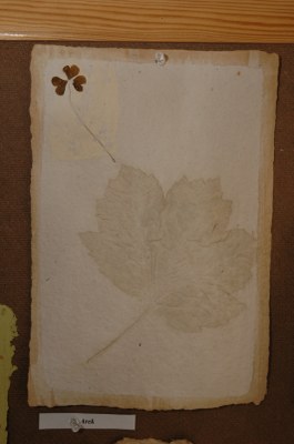 jk15295.jpg