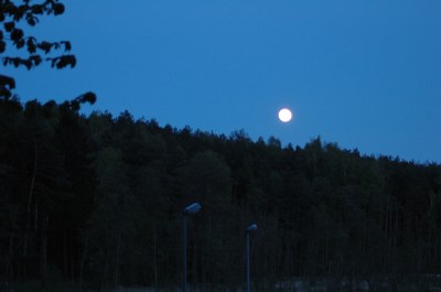 jk15317.jpg