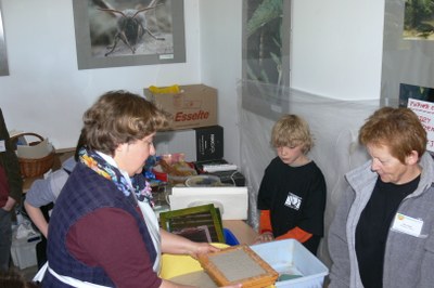 070429-105232-volker-148.jpg