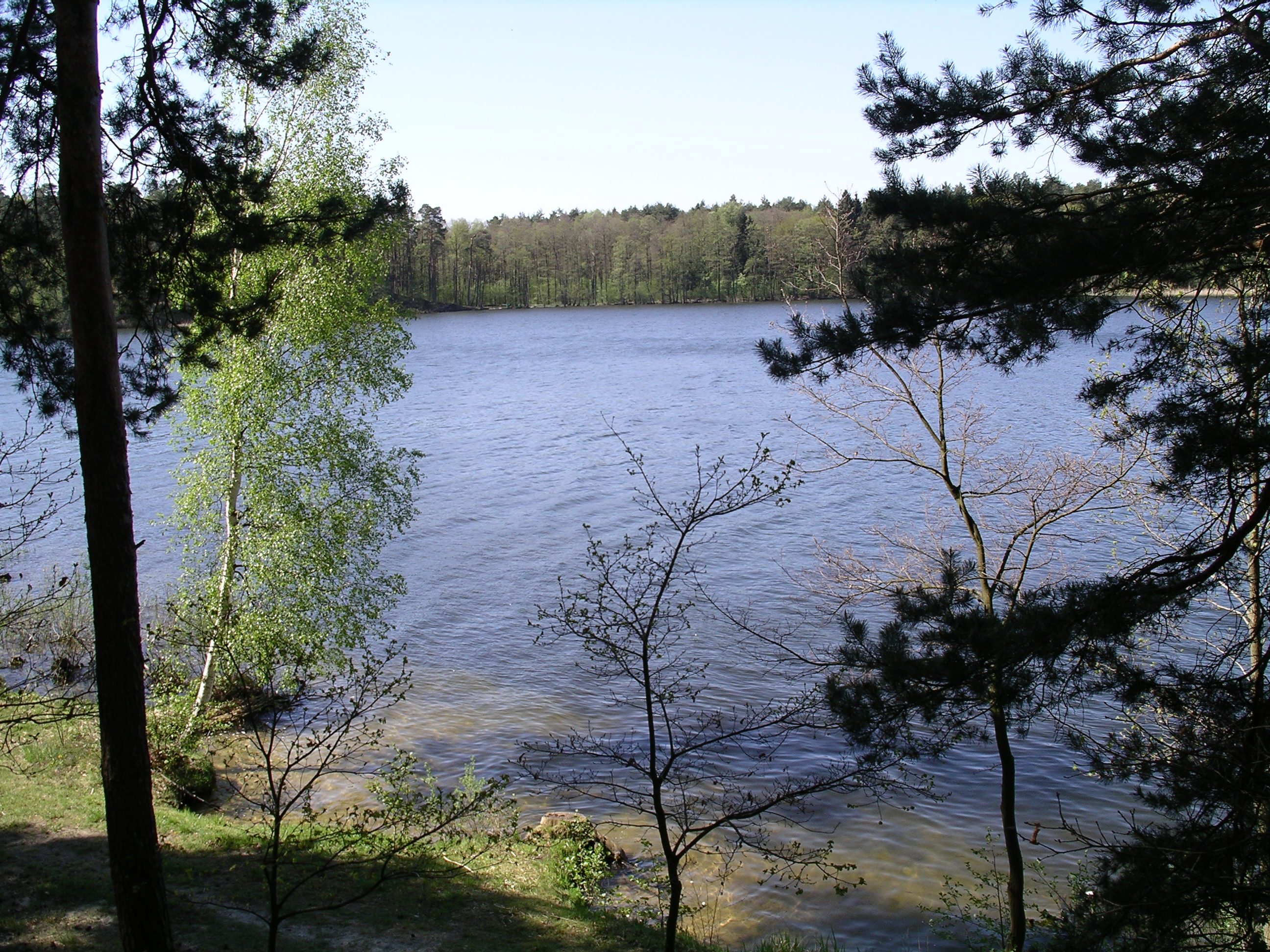 070429-105624-ulrik-035.jpg