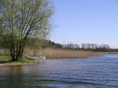 070429-143200-ulrik-037.jpg