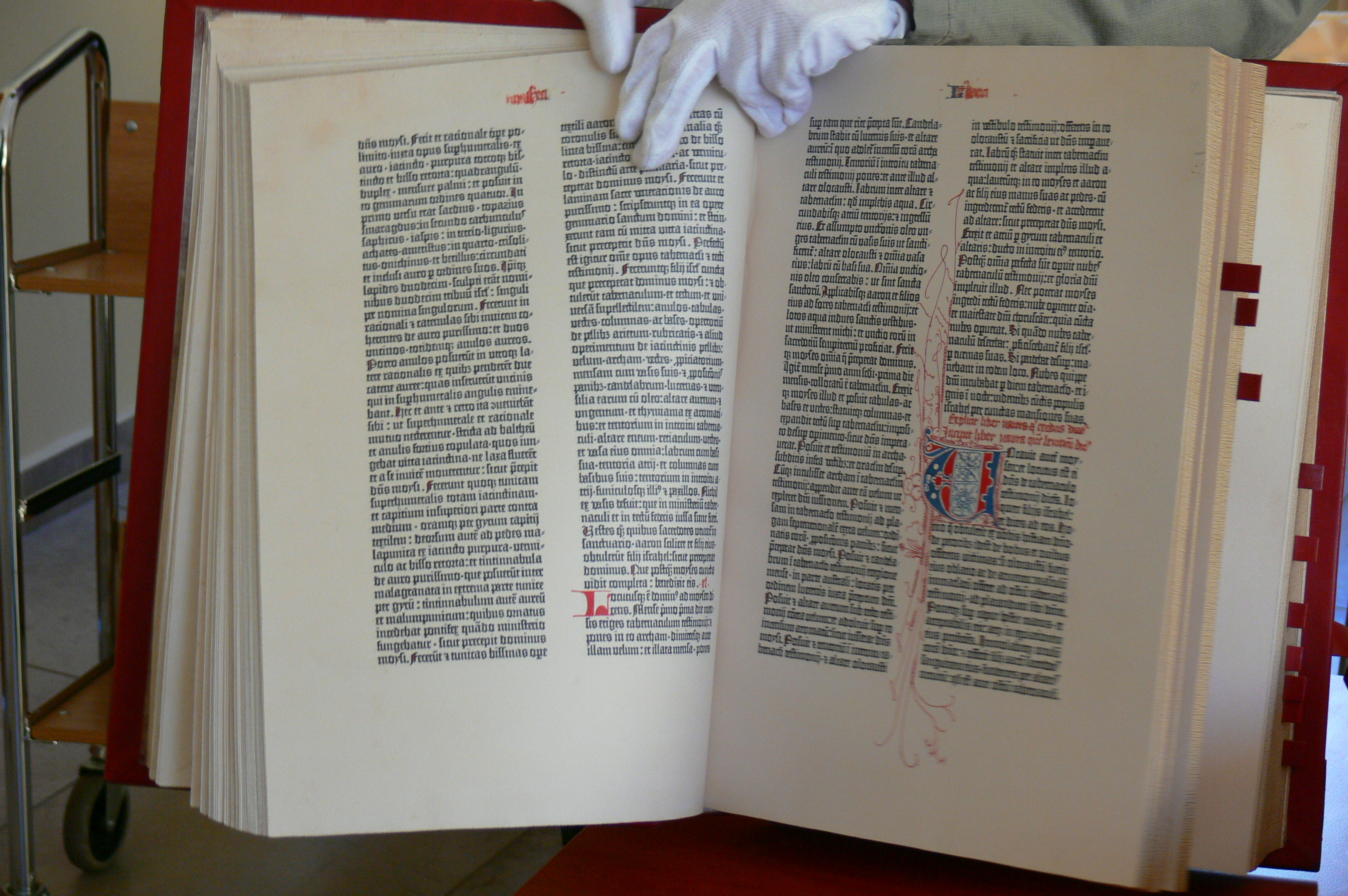 070430-135556-volker-217.jpg