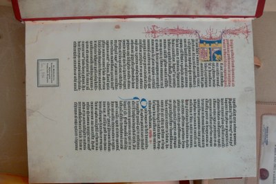 070430-140030-volker-231.jpg