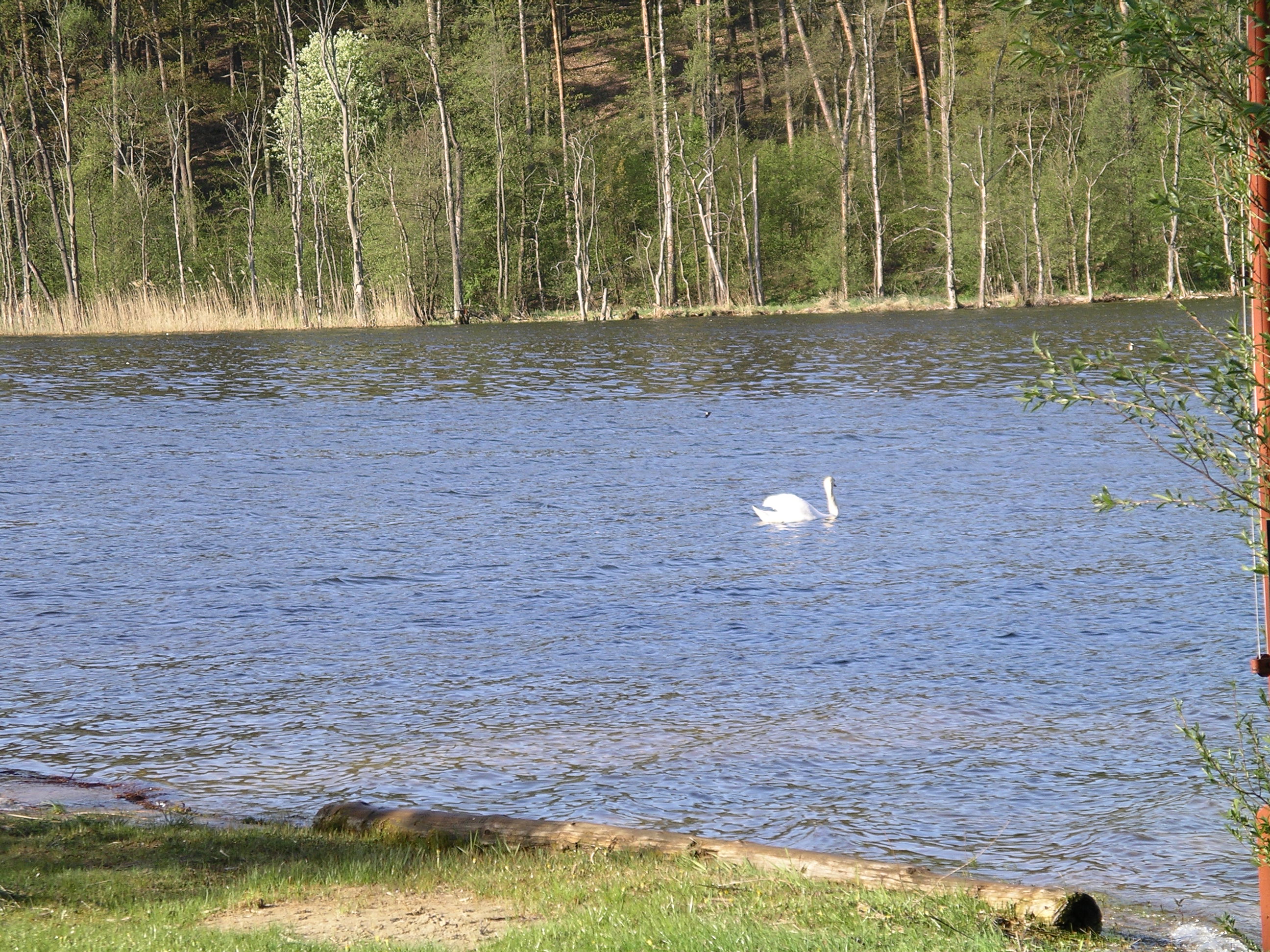 070501-080026-ulrik-141.jpg