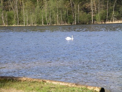 070501-080048-ulrik-142.jpg